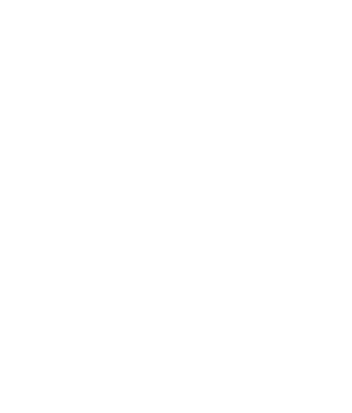Bireysel Taktik Savunma Akademisi Ana Logo logowhite_500px